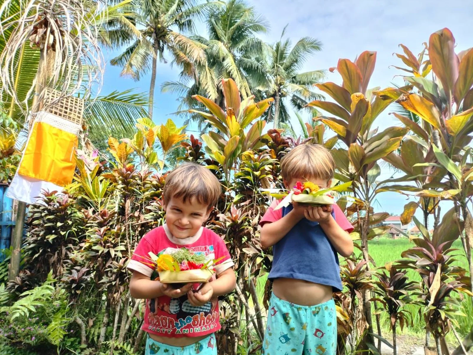 Sunny Kids Moment 12